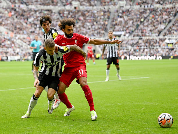 为他辉煌的 为他辉煌的